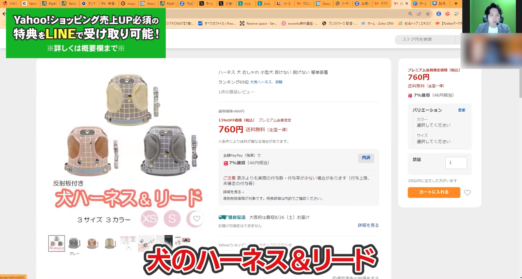 犬の「ハーネス＆リード」の商品ページ