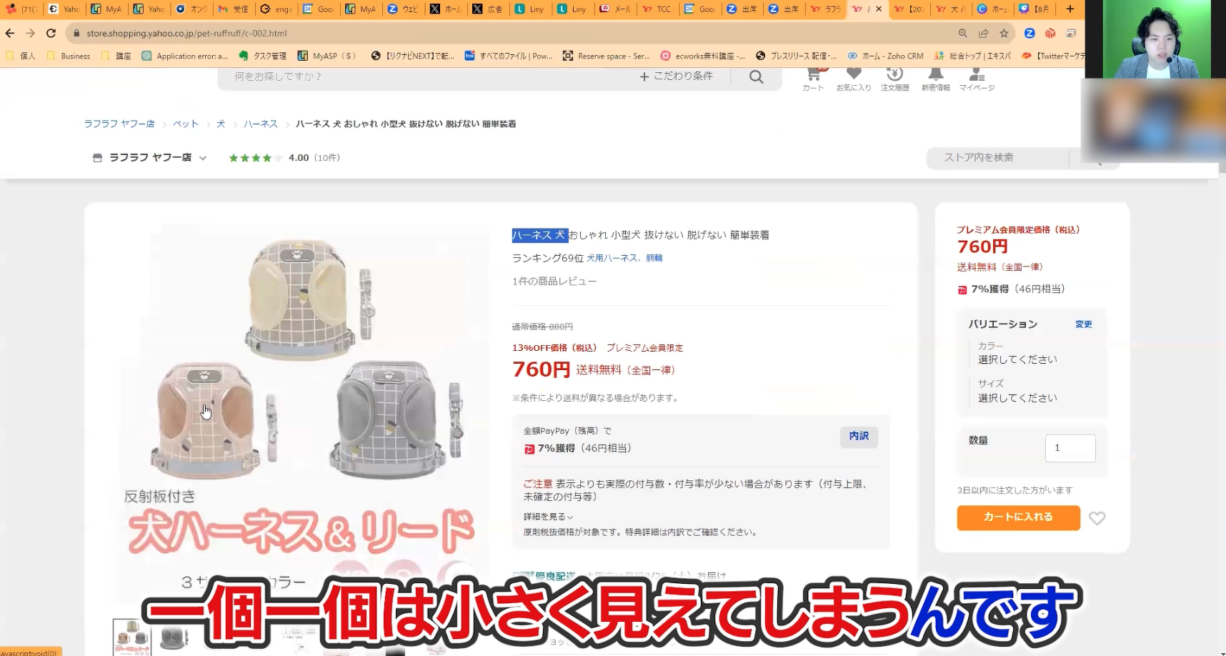 犬の「ハーネス＆リード」の商品ページ