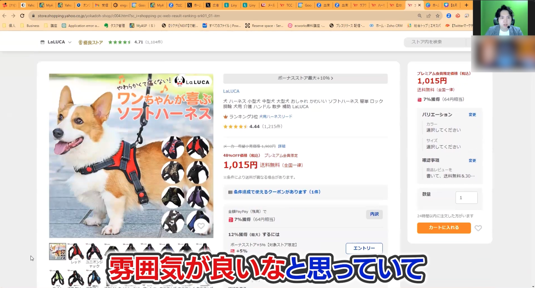 参考商品画像（犬が大きく載っていて、カラーバリエーションが小さく並んでいる）