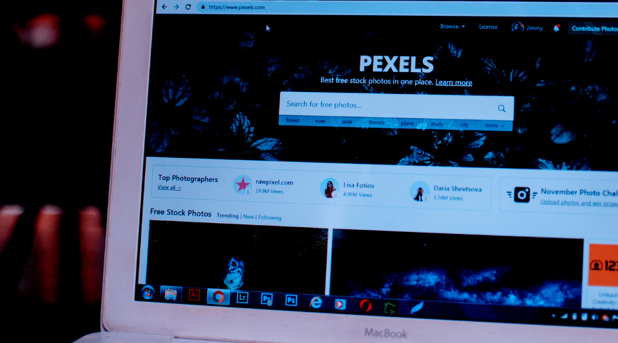 検索窓のイメージ